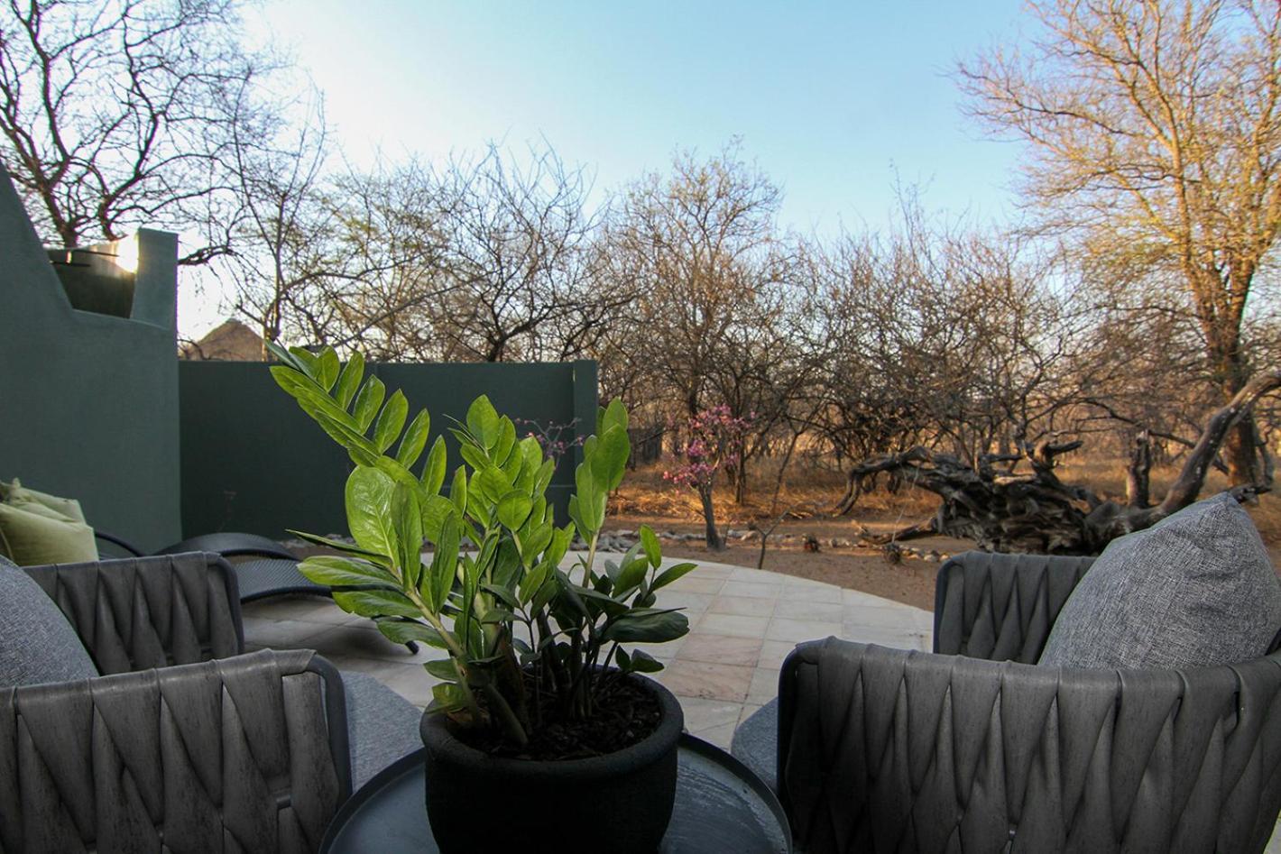 Tomo Safari Lodge Hoedspruit Extérieur photo
